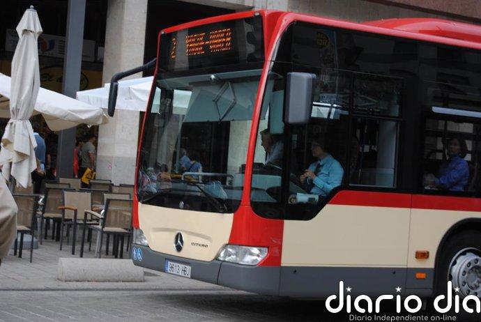 Cuatro líneas de autobús urbano de Logroño, afectadas este domingo por la celebración de una prueba deportiva