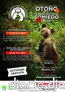 De Castro a los Lagos de Saliencia: rutas gratuitas con la Fundación Oso de Asturias en Somiedo
