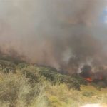 Declarado un incendio forestal en Luque (Córdoba) que moviliza a tres medios aéreos