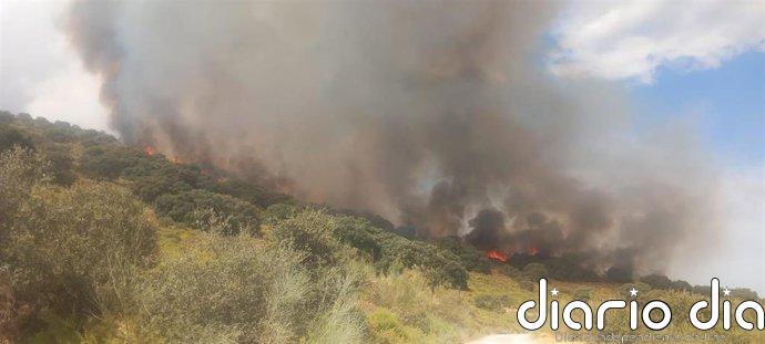 Declarado un incendio forestal en Luque (Córdoba) que moviliza a tres medios aéreos