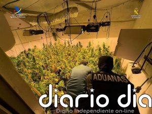 Desmantelados tres cultivos ‘indoor’ de marihuana en Osuna (Sevilla) con tres personas detenidas