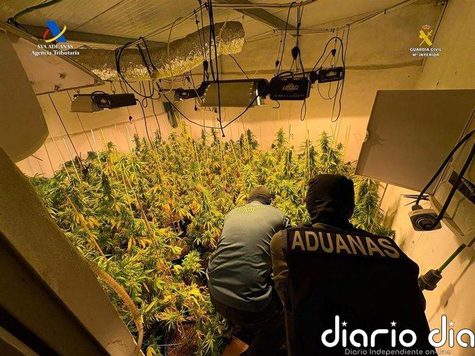 Desmantelados tres cultivos ‘indoor’ de marihuana en Osuna (Sevilla) con tres personas detenidas