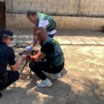Detenidas cuatro personas acusadas de robar en Bollullos (Sevilla) ocho galgos de competición y maltratar a dos de ellos