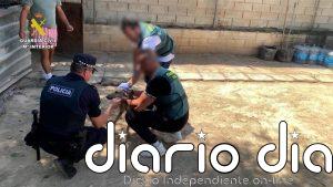 Detenidas cuatro personas acusadas de robar en Bollullos (Sevilla) ocho galgos de competición y maltratar a dos de ellos