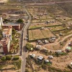 Detenido tras presuntamente quemar vivo y matar a un perro en Adeje (Tenerife)