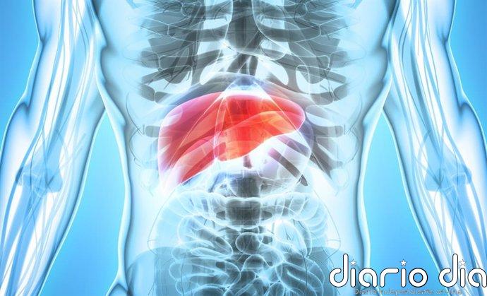 Dos estudios identifican las pruebas que pueden detectar la enfermedad hepática avanzada sin necesidad de biopsia