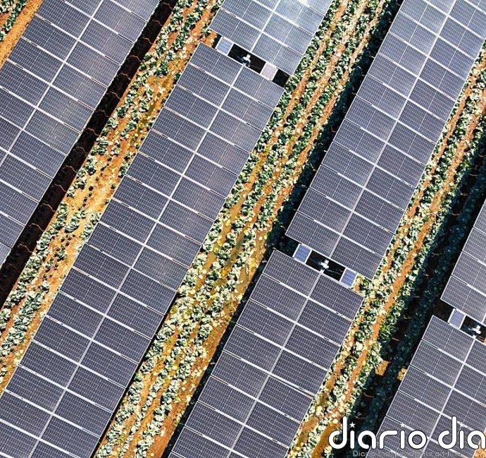 Dos Grados compra una cartera de proyectos solares en desarrollo a Akuo de más de 500 MW en España