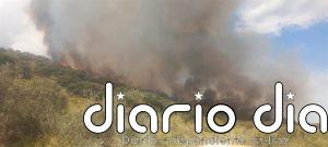 Efectivos del Infoca consiguen controlar el incendio forestal declarado en Luque (Córdoba)