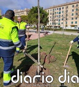 El Ayuntamiento de Salamanca repondrá cerca de 500 árboles en los próximos meses