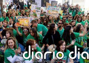 El Comité de Huelga de la educación pública de Madrid celebra la "liberación" del manifestante y exige que se investigue