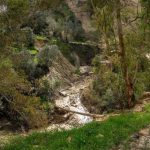El Gobierno registraba 10.527 expedientes por daños de las borrascas de invierno en Andalucía