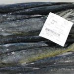 El Govern aprueba el plan de gestión de la pesca en las bahías de Pollença y Alcúdia