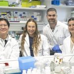El IBBTEC valida en tejido cardiaco humano un nuevo contraste que detecta la fibrosis cardiaca y reduce su avance