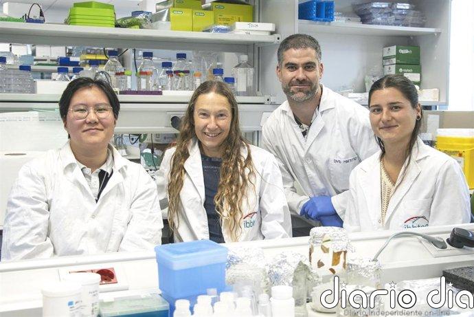 El IBBTEC valida en tejido cardiaco humano un nuevo contraste que detecta la fibrosis cardiaca y reduce su avance