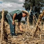 El Niño Godzilla amenaza la alimentación en América Latina