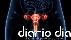 El ovario sigue activo después de la menopausia: qué han descubierto los investigadores