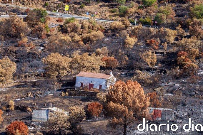 El Parlamento aprueba garantizar el futuro de la cooperativa corchera de Berrocal tras el incendio de Niebla (Huelva)