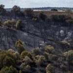 El Plan de Restauración de la Sierra Oeste será a 10 años vista, con especies autóctonas y gestión de montes privados