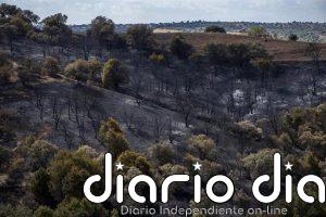 El Plan de Restauración de la Sierra Oeste será a 10 años vista, con especies autóctonas y gestión de montes privados