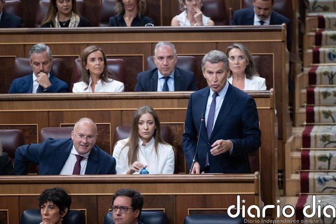 El PP trasladó a la embajadora francesa sus reparos al Tratado de Amistad, que deja fuera las conexiones gasísticas
