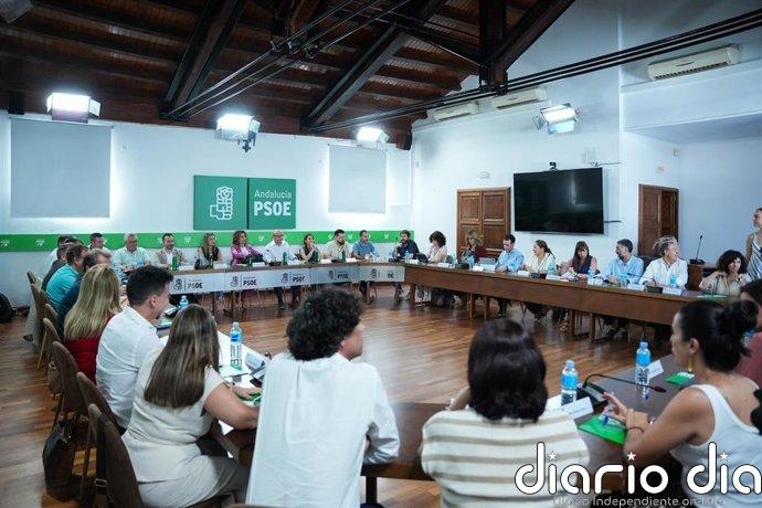El PSOE-A tendrá a un ministro como cabeza de lista al Congreso y renueva a seis de sus números uno para el 29N
