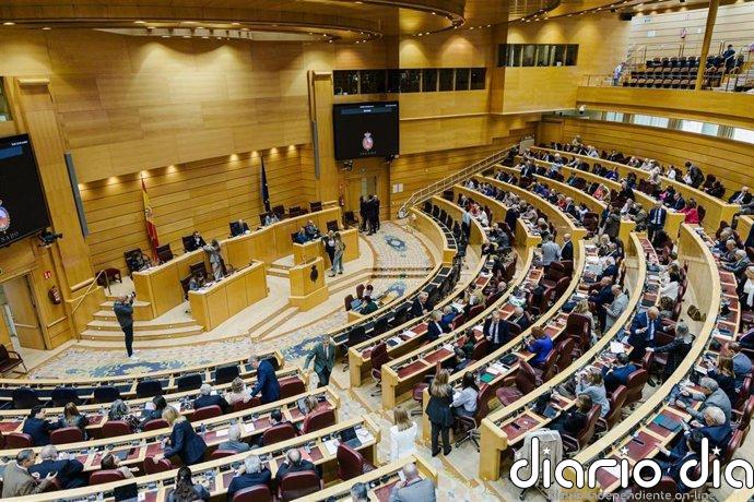 El Senado valora usar la IA para traducir lenguas cooficiales, a la espera del resultado electoral del 29-N