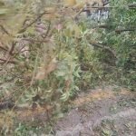 Emergencias gestiona casi 400 incidentes por Adam, la mayoría por daños en las calles y atrapamientos en vehículos