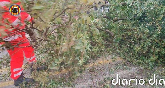 Emergencias gestiona casi 400 incidentes por Adam, la mayoría por daños en las calles y atrapamientos en vehículos