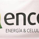 Ence recorta un 70% sus pérdidas a septiembre, impulsado por recuperación en el tercer trimestre