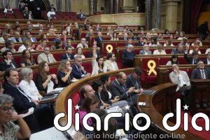ERC y PSC son los grupos con más propuestas aprobadas en el DPG y Vox y AC no aprueban ninguna
