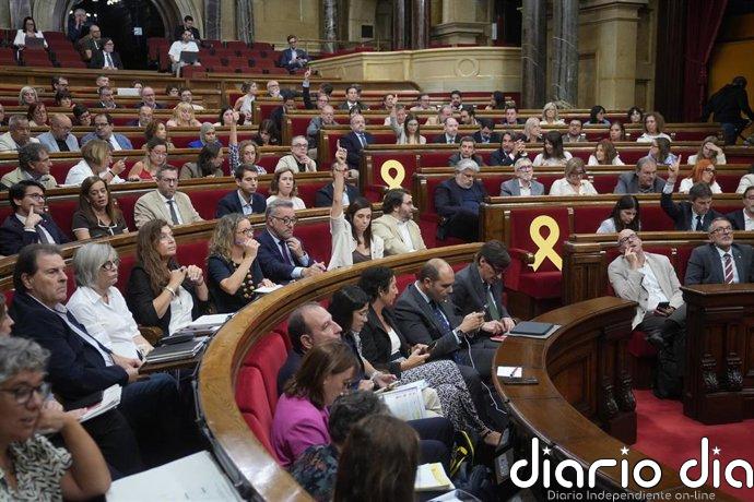 ERC y PSC son los grupos con más propuestas aprobadas en el DPG y Vox y AC no aprueban ninguna