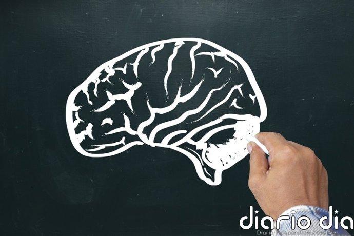 Fisioterapeutas destacan su "papel esencial" para que pacientes de ictus recuperen autonomía y calidad de vida