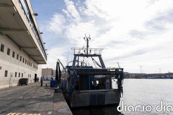 Gobierno abona otros 2,4 millones a pescadores de la ayuda para compensar el alza del precio del gasóleo