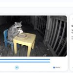 Google abre a su herramienta SynthID Detector para que cualquiera pueda identificar contenidos creados con IA