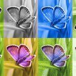 Google SynthID Detector: cómo usarlo para identificar contenido generado con IA y cuáles son sus limitaciones