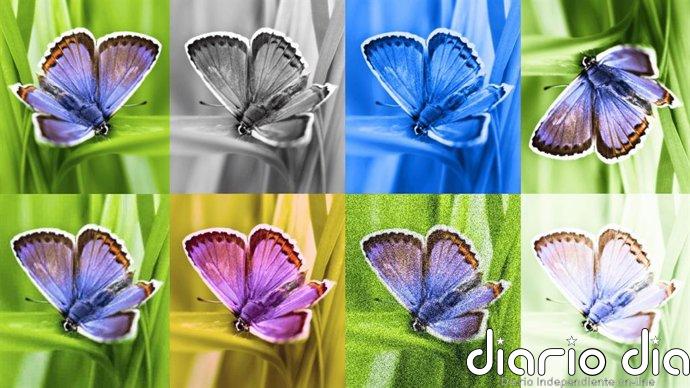 Google SynthID Detector: cómo usarlo para identificar contenido generado con IA y cuáles son sus limitaciones
