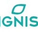 Ignis desarrolla a través de su comercializadora una oferta para empresas con consumos intensivos de luz y gas