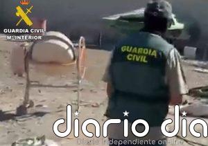 Intervenidas más de 7.300 plantas de marihuana y cinco armas de fuego en cuatro días en la provincia de Granada