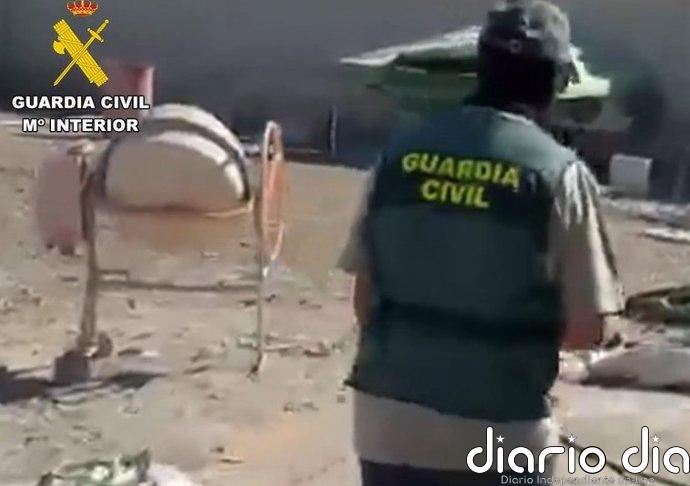 Intervenidas más de 7.300 plantas de marihuana y cinco armas de fuego en cuatro días en la provincia de Granada