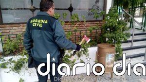 Investigado por amenazar con un hacha a dos trabajadoras municipales en el Altiplano granadino