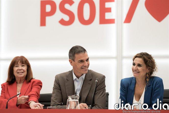 La Ejecutiva del PSOE aprueba el Comité Electoral que dirigirá la campaña con Torró, Montero y Narbona al frente