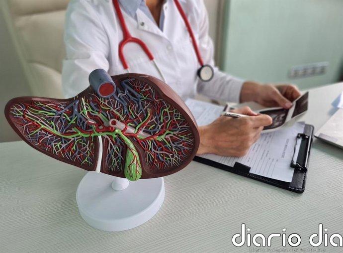 La Federación Española del Hígado (FEH) exige más inversión en ciencia y equidad para tratamientos en cáncer de hígado