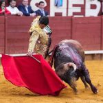 La Fundación Franz Weber pide a los partidos derogar la ley que protege la tauromaquia y elevar su fiscalidad