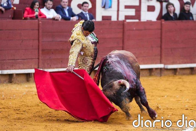 La Fundación Franz Weber pide a los partidos derogar la ley que protege la tauromaquia y elevar su fiscalidad