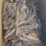 La Guardia Civil esclarece el robo de cientos de kilos de cable y pone a disposición judicial a 4 personas