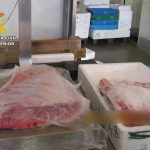 La Guardia Civil incauta 16 kilos de ventresca de atún rojo sin documentación en la lonja de Alcantarilla