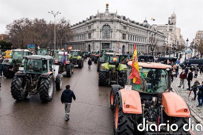 La Junta aboga por una mayor implicación ante la situación "crítica" del sector agrario sin "buscar excusas"
