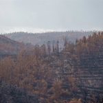 La Junta valora en 10 millones las inversiones de emergencias por el incendio de Niebla y evalúa daños en Los Gallardos