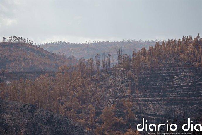 La Junta valora en 10 millones las inversiones de emergencias por el incendio de Niebla y evalúa daños en Los Gallardos