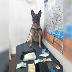 La Policía Local de Alicante detiene con ayuda de la perra Kata a un hombre que llevaba cocaína en una maleta